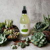 Natural Mosquito & Insect Repellent Spray